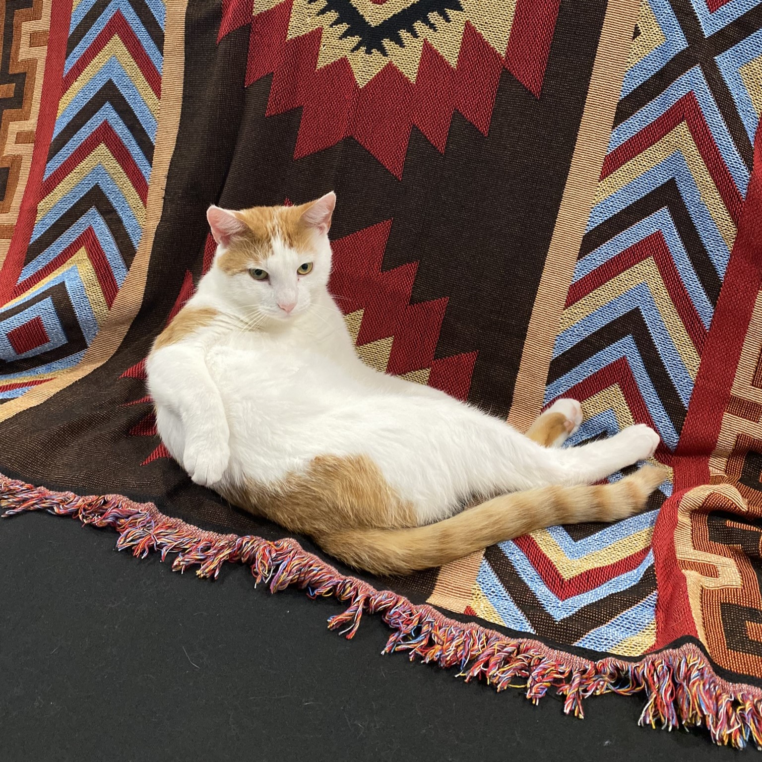 Pico Couch