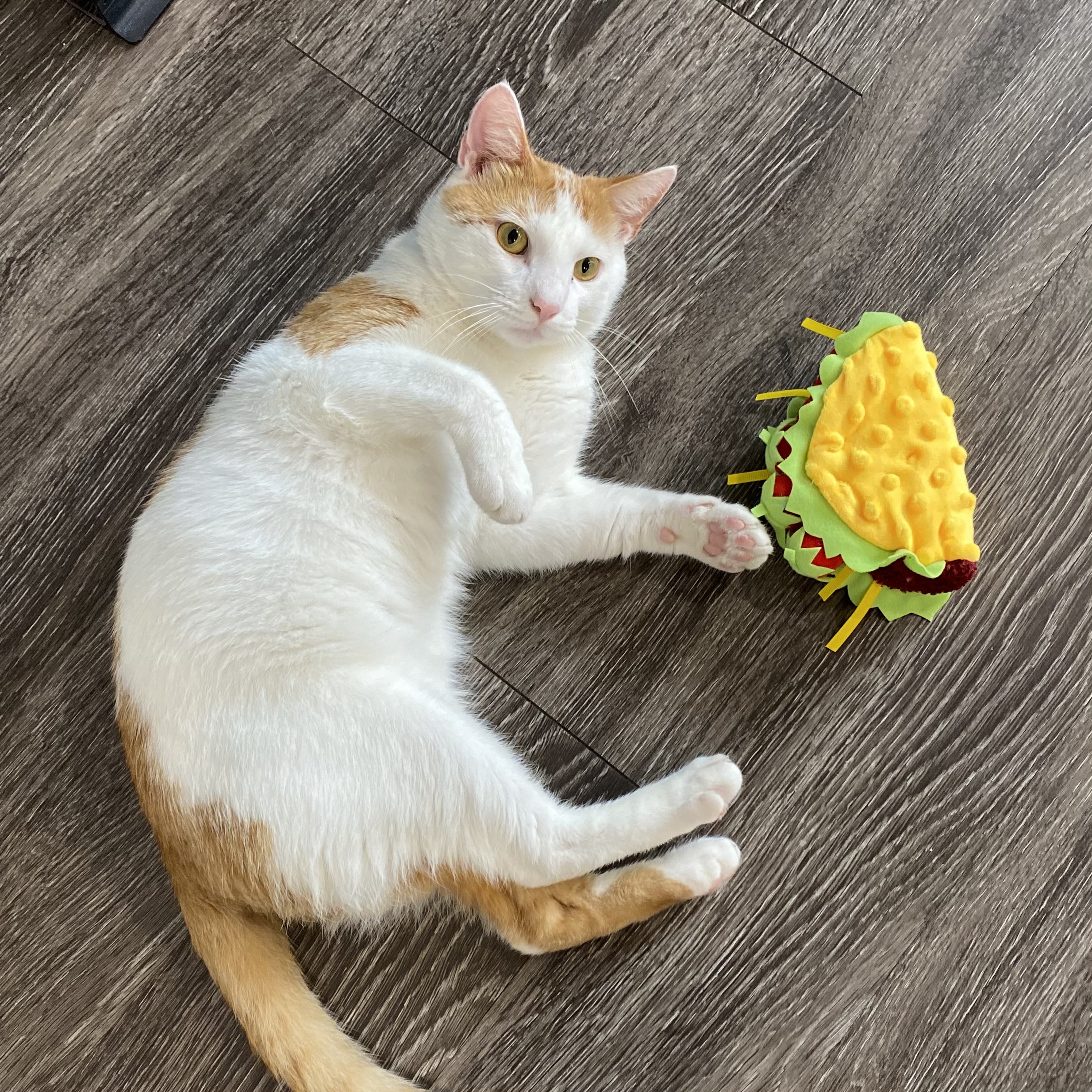 Pico Taco