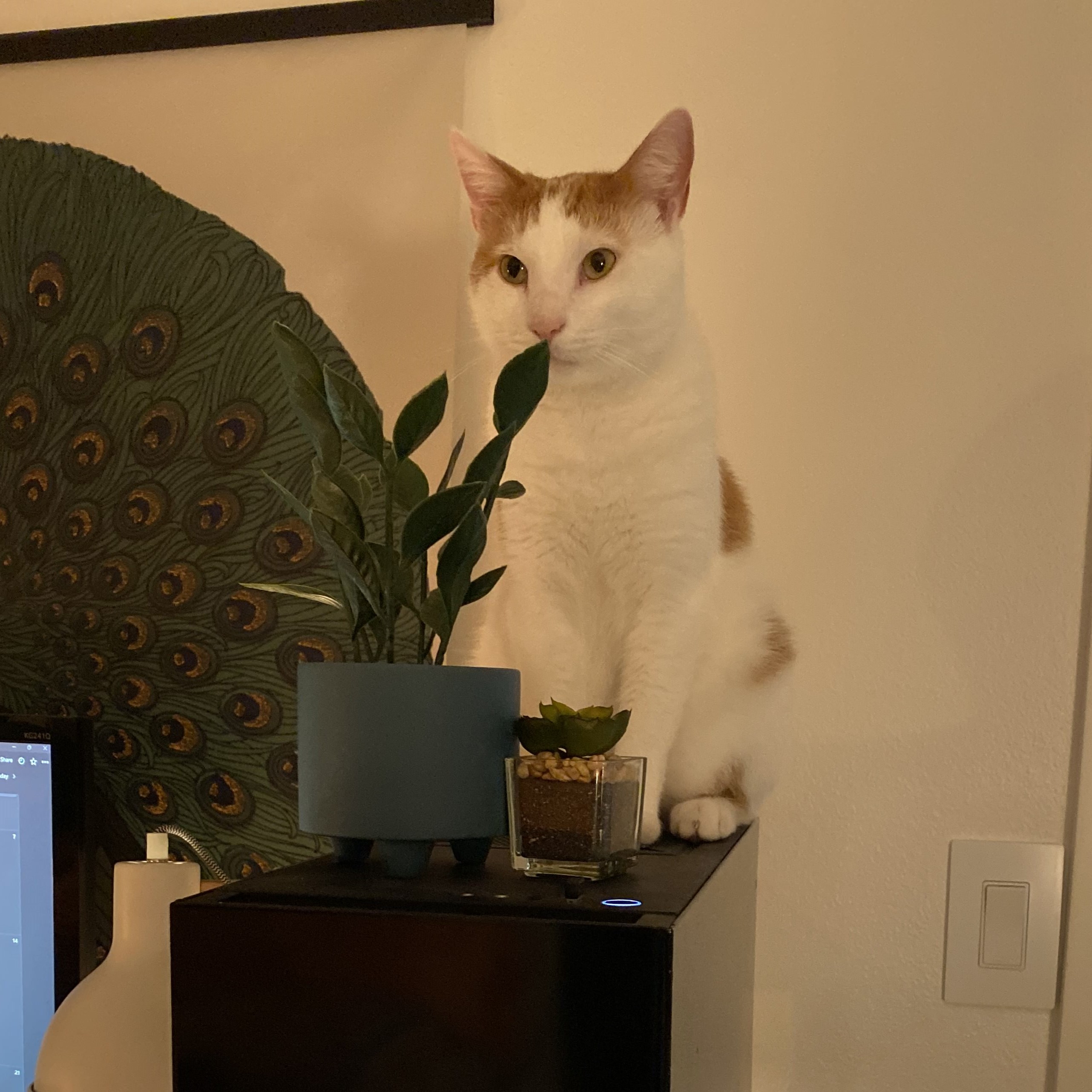 Why Sit There?